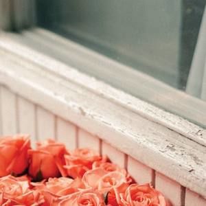 Meet your Posher, Laynette